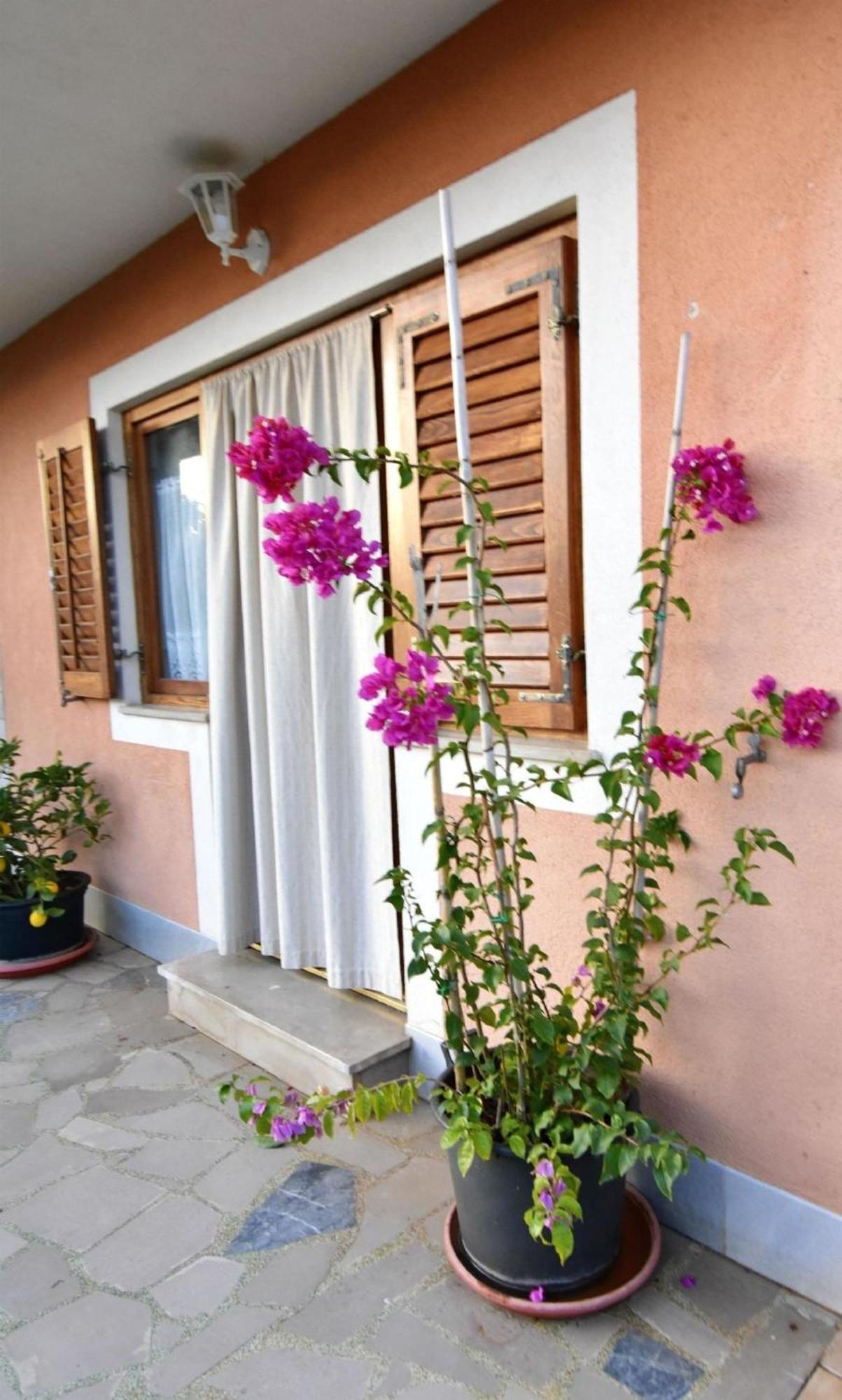 Apartment Mit Zwei Schlafzimmern In Strandnahe Bašanija Exterior foto